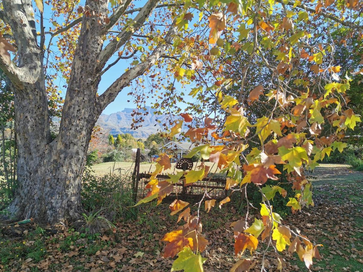 Swallowfield Rondavels Champagne Valley エクステリア 写真
