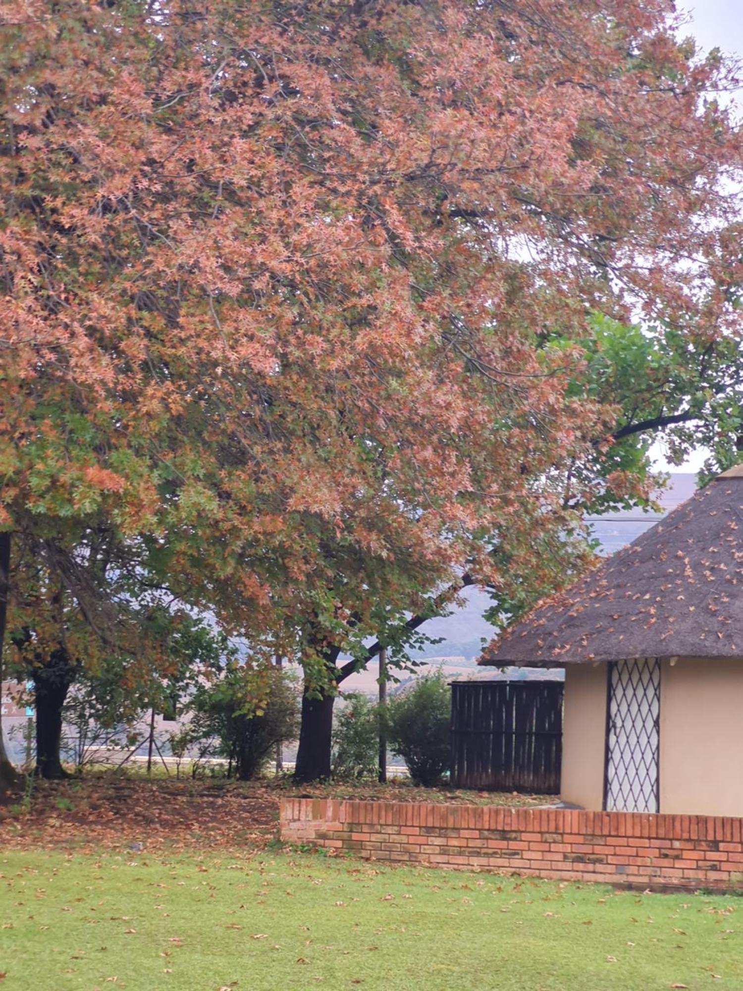 Swallowfield Rondavels Champagne Valley 部屋 写真