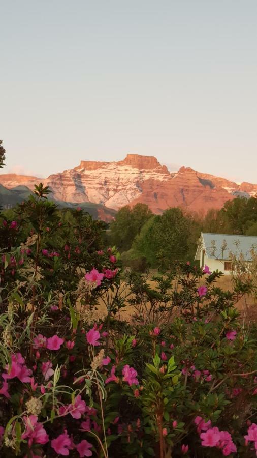 Swallowfield Rondavels Champagne Valley エクステリア 写真
